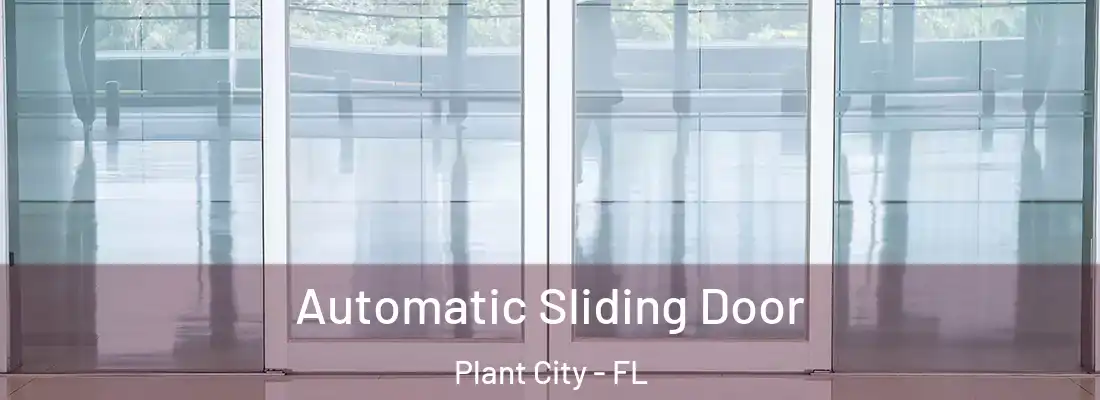 Automatic Sliding Door Plant City - FL
