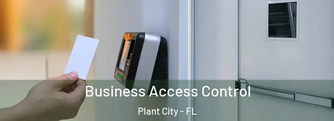 Business Access Control Plant City - FL