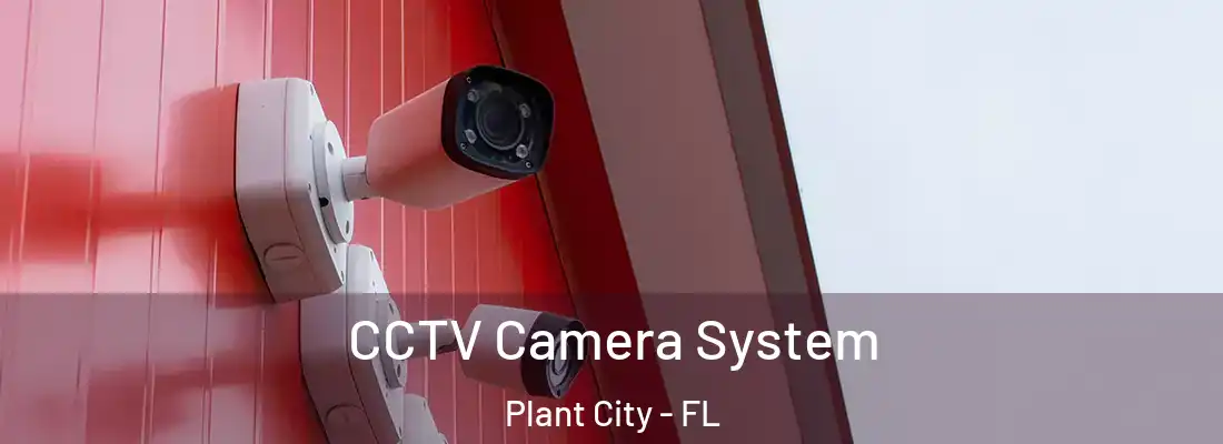 CCTV Camera System Plant City - FL