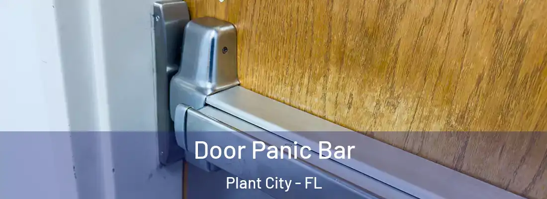  Door Panic Bar Plant City - FL