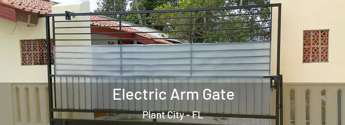 Electric Arm Gate Plant City - FL