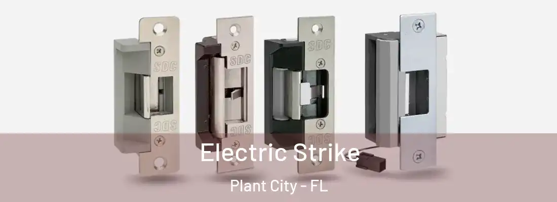 Electric Strike Plant City - FL