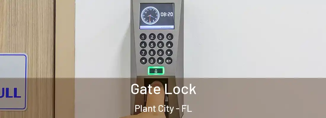 Gate Lock Plant City - FL
