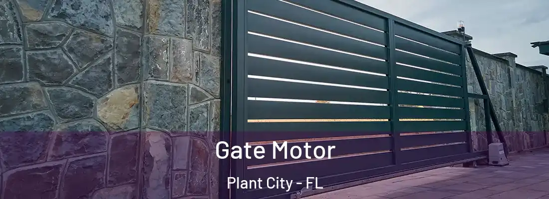  Gate Motor Plant City - FL