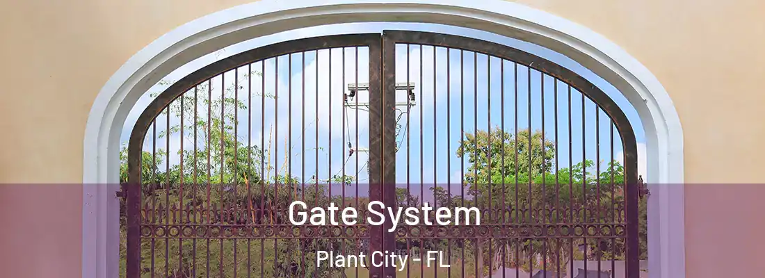 Gate System Plant City - FL