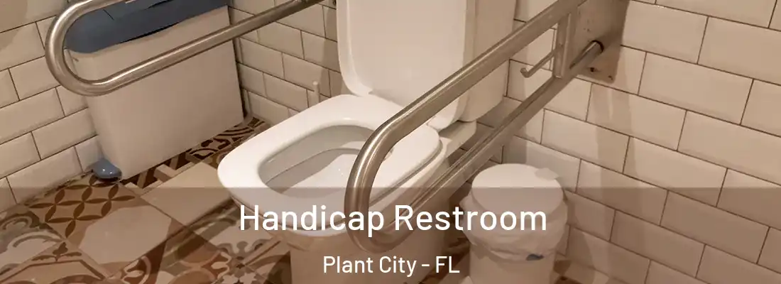  Handicap Restroom Plant City - FL