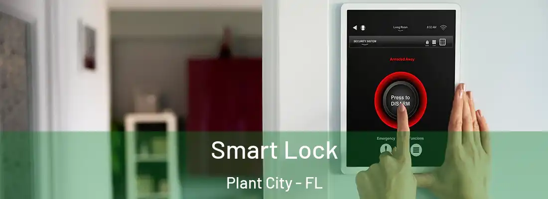 Smart Lock Plant City - FL